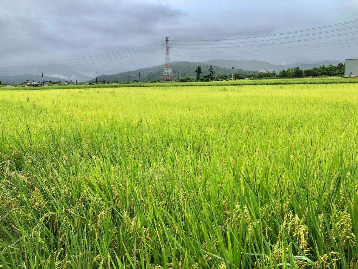 Fairy Story Village Farm B&B Dongshan  Exteriér fotografie