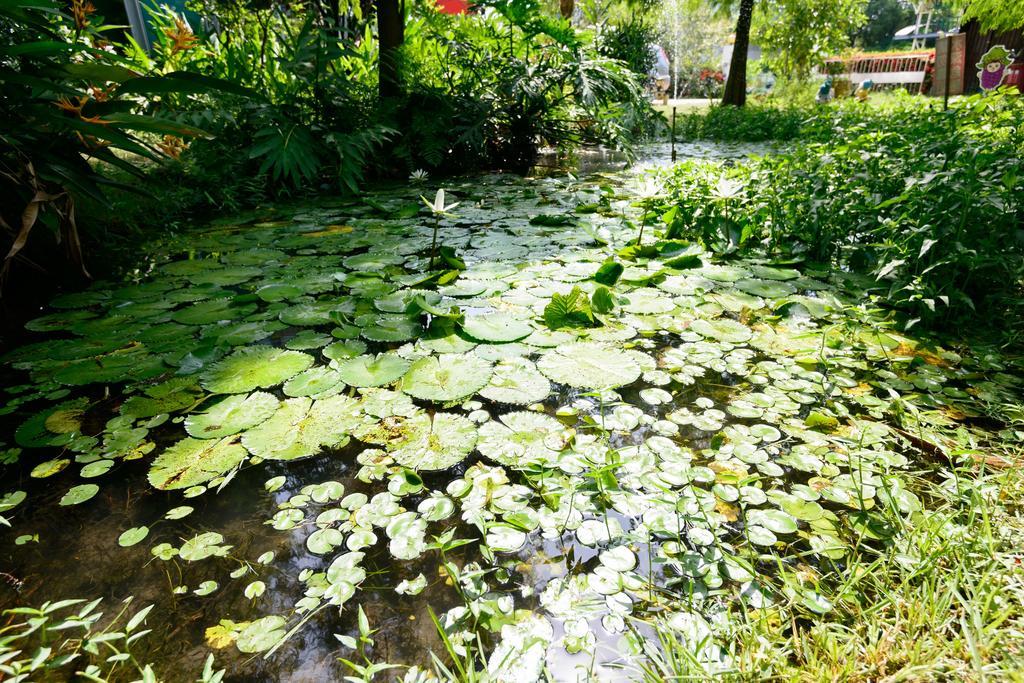 Fairy Story Village Farm B&B Dongshan  Exteriér fotografie